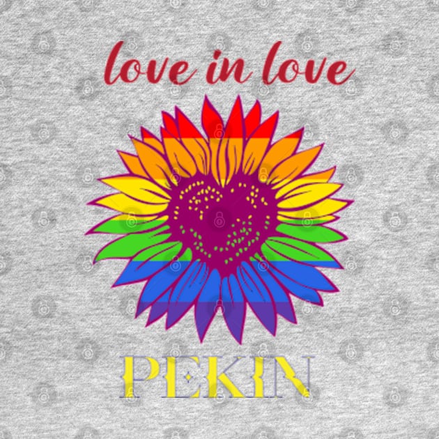 LOVE IN PEKIN 1906 by AsboDesign